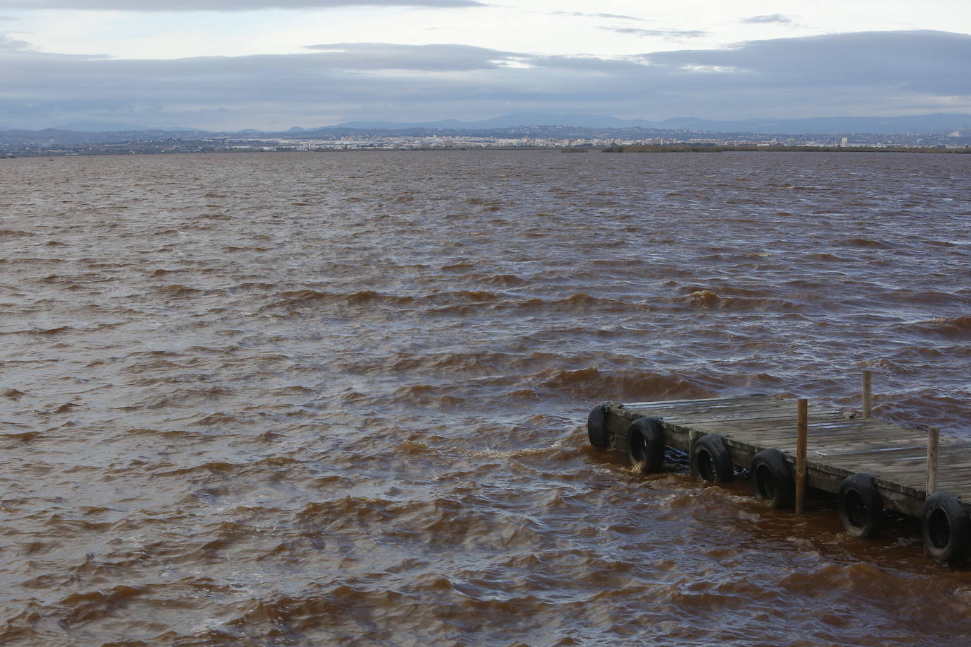 El agua de la Albufera sigue marrón