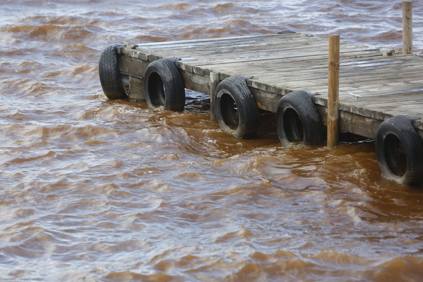 El agua de la Albufera sigue marrón