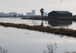 Vista del parque natural.