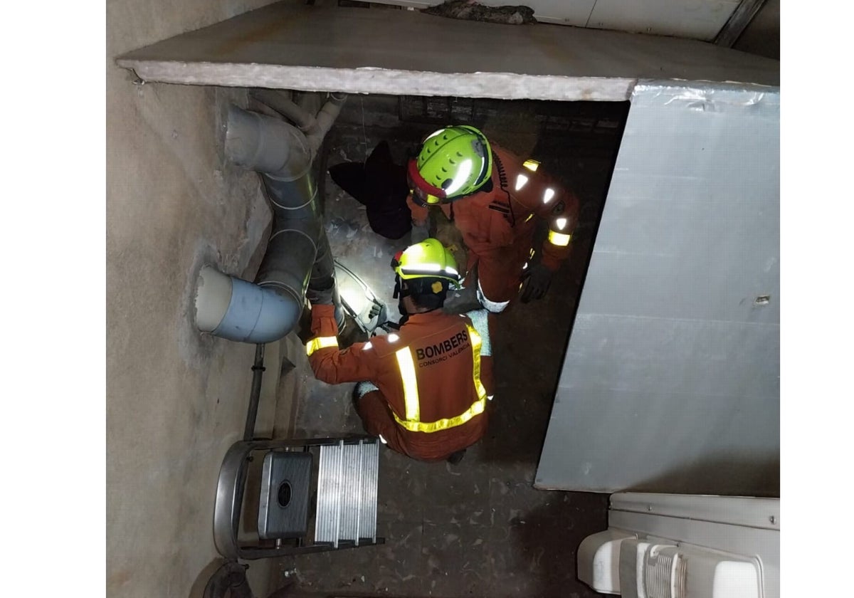 Bomberos rescatando al gato atrapado.