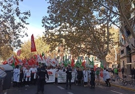 Sanitarios protestan ante la conselleria el 27 de noviembre.