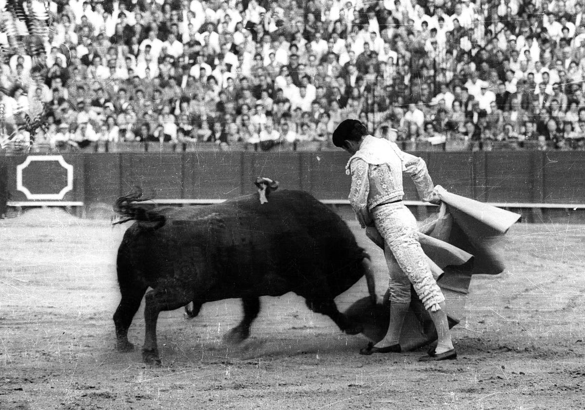 Una inconfundible media de Curo Romero.