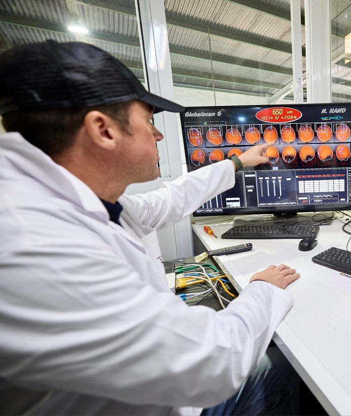 Imagen secundaria 2 - La planta de The Natural Hand en plena producción y Juan Carlos Martínez muestra ya la selección que se va enviar a China y cómo controla el calibre y la calidad del producto.