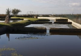 Una vista del parque de la Albufera.