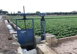 Regadío tradicional. Compuertas de regulación del caudal de acequias entre campos de hortalizas y frutales en l'Horta Nord, en la vasta red de la Real Acequia de Moncada.