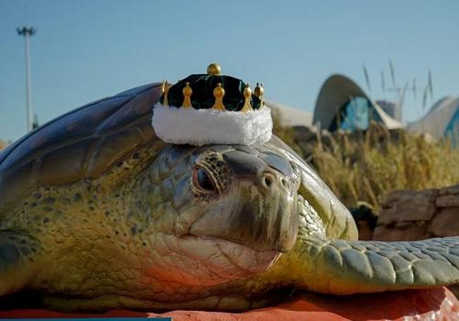 Festival de Navidad en Oceanográfic