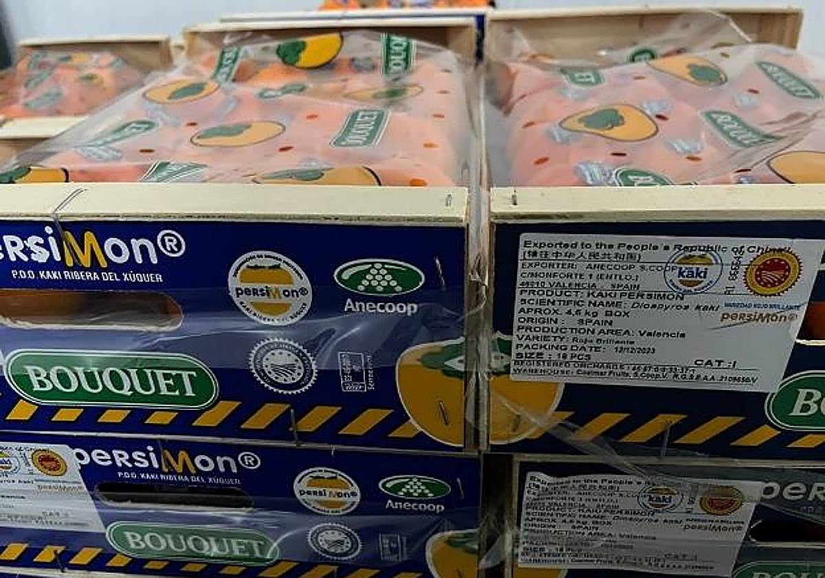 ANECOOP envía el primer contenedor de kaki persimón con destino a China Continental