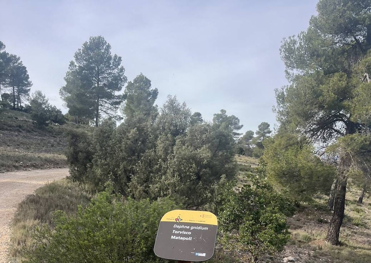 Imagen secundaria 1 - Señalización del Parque Natural de las Hoces del Cabriel.