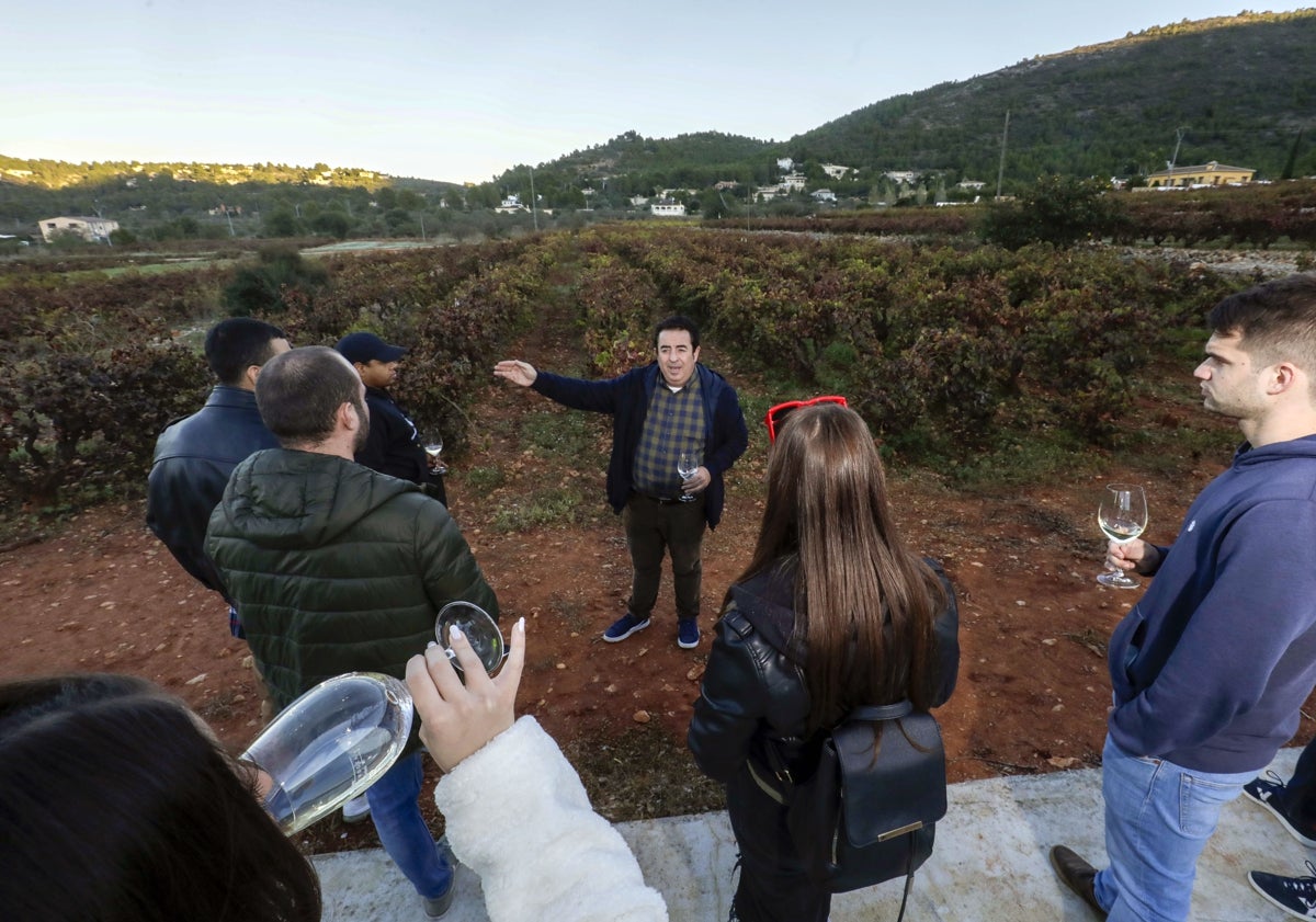 Imagen principal - Pepe Mendoza en su bodega de Llíber; abajo, imagen de Bodegas Hispano Suiza en la comarca de Utiel-Requena y experiencia enoturística en familia en la cooperativa de Viver. 