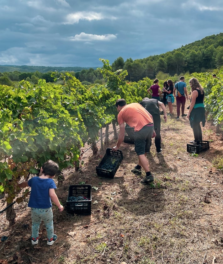 Imagen secundaria 2 - Pepe Mendoza en su bodega de Llíber; abajo, imagen de Bodegas Hispano Suiza en la comarca de Utiel-Requena y experiencia enoturística en familia en la cooperativa de Viver. 