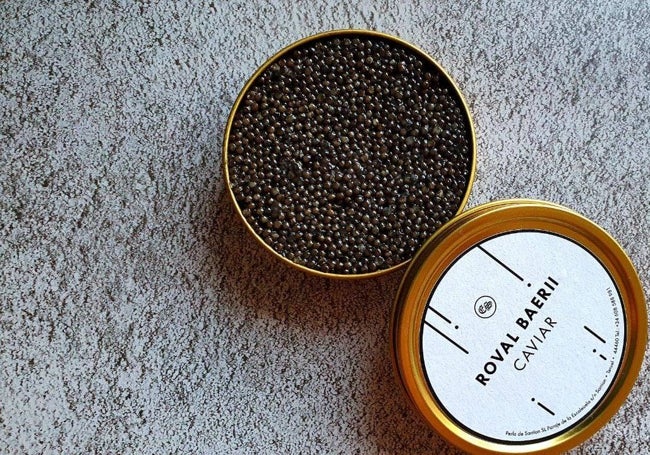 Cartucho de caviar.