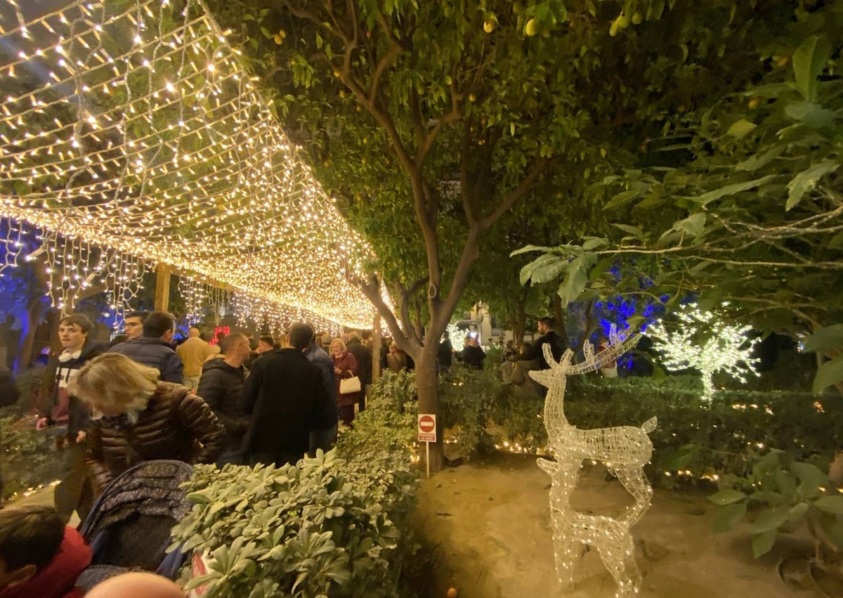 Imagen secundaria 1 - Decorados navideños en los jardines del Palau de la Generalitat.