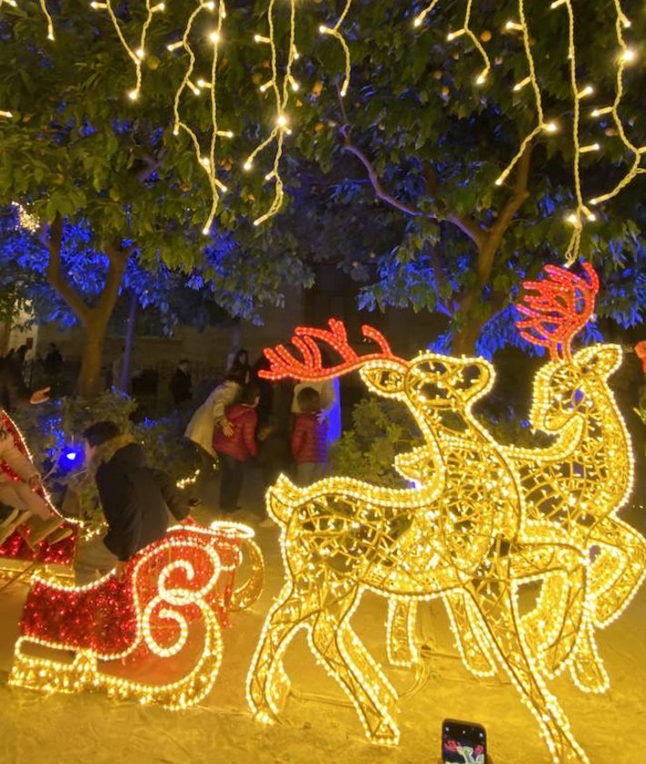 Imagen secundaria 2 - Decorados navideños en los jardines del Palau de la Generalitat.