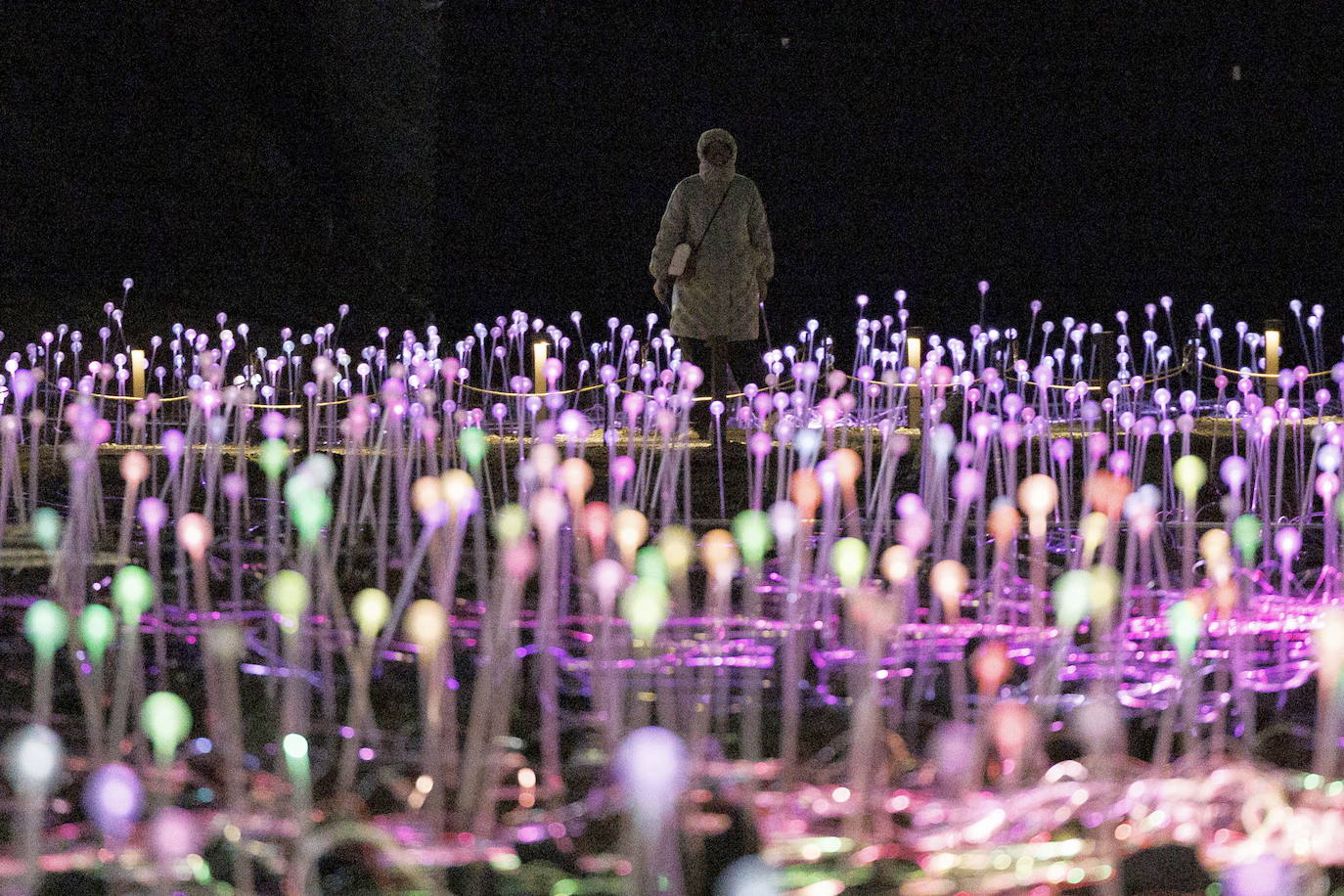 La Freedom Plaza de Nueva York se ilumina con una instalación de Bruce Munro