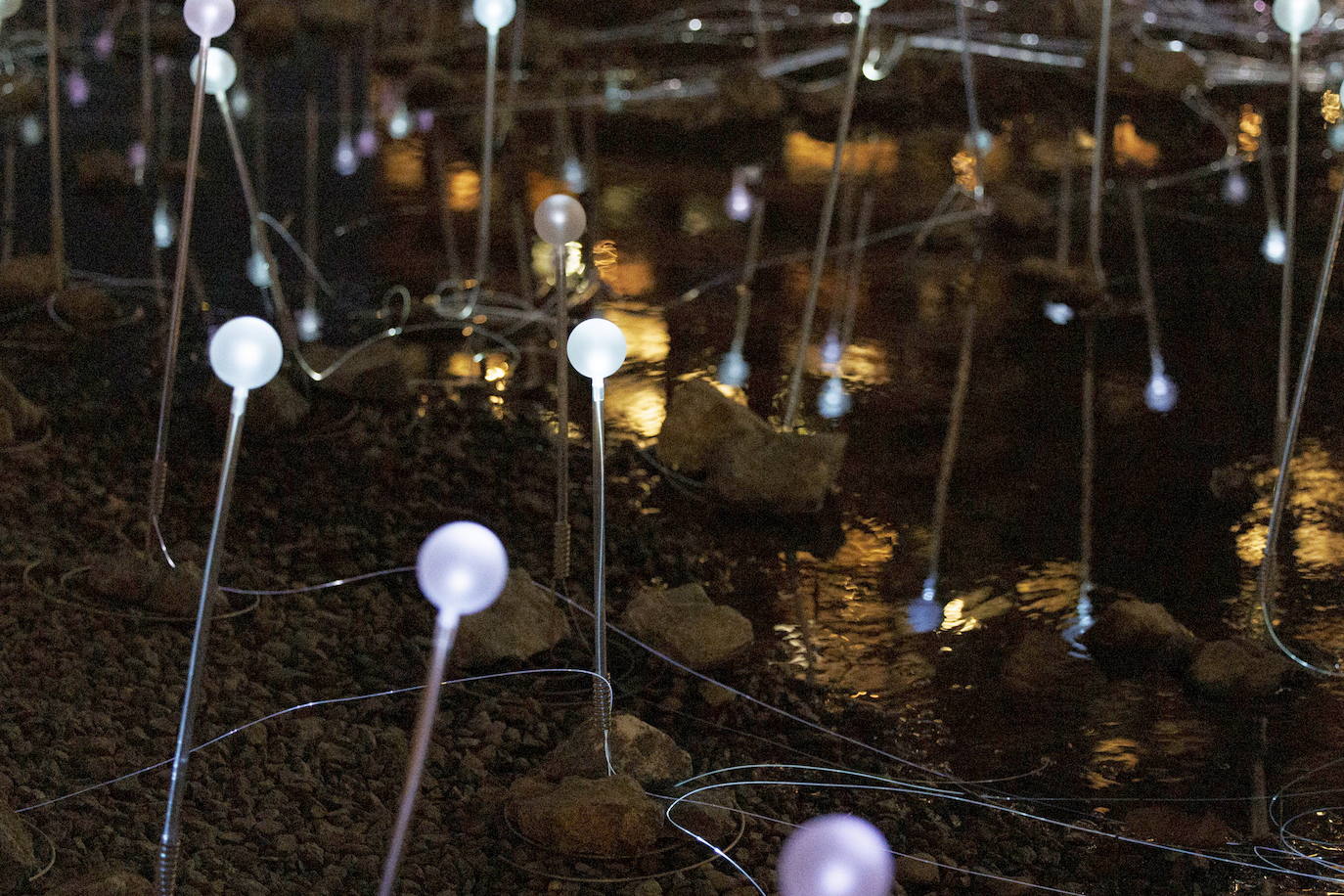 La Freedom Plaza de Nueva York se ilumina con una instalación de Bruce Munro