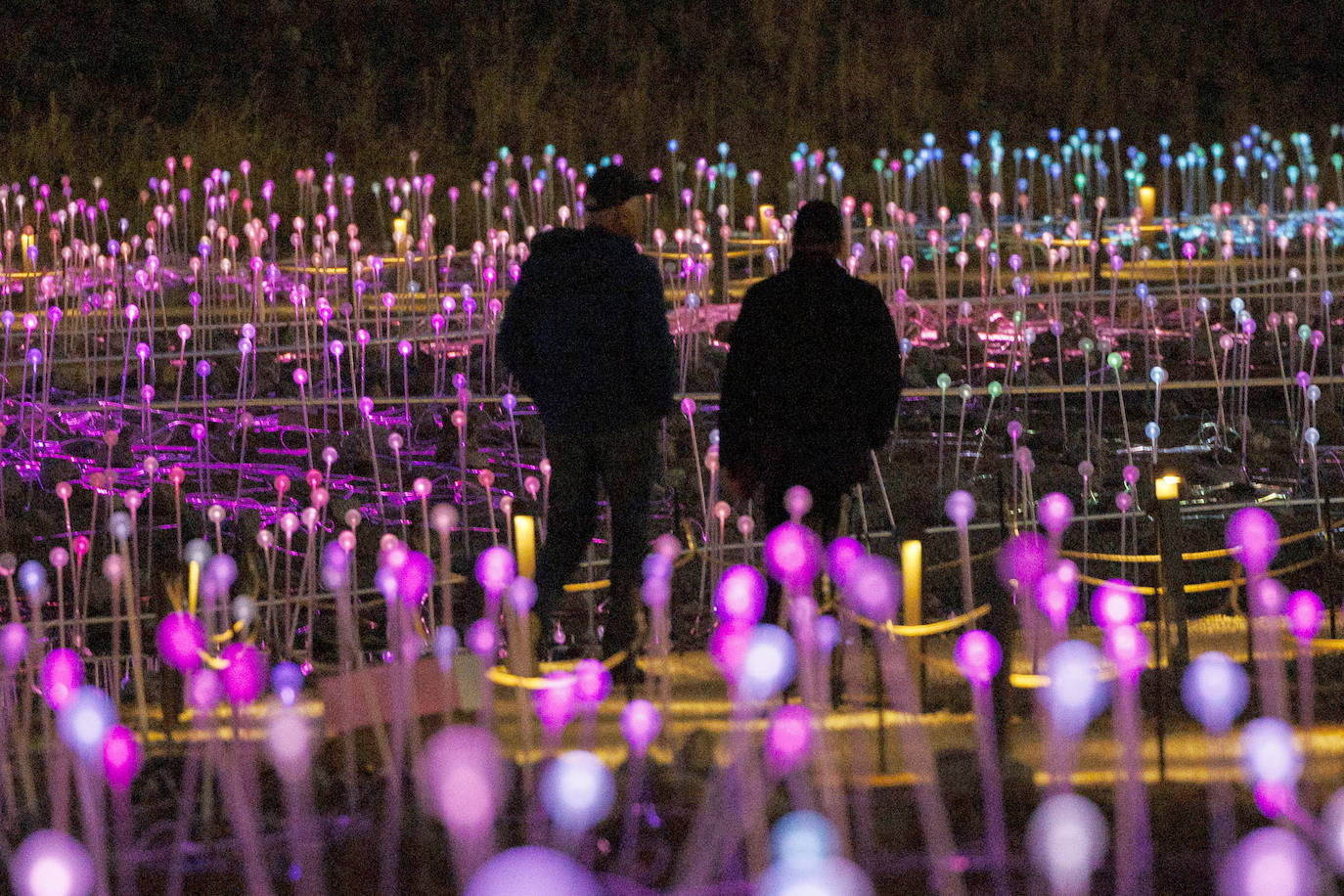 La Freedom Plaza de Nueva York se ilumina con una instalación de Bruce Munro