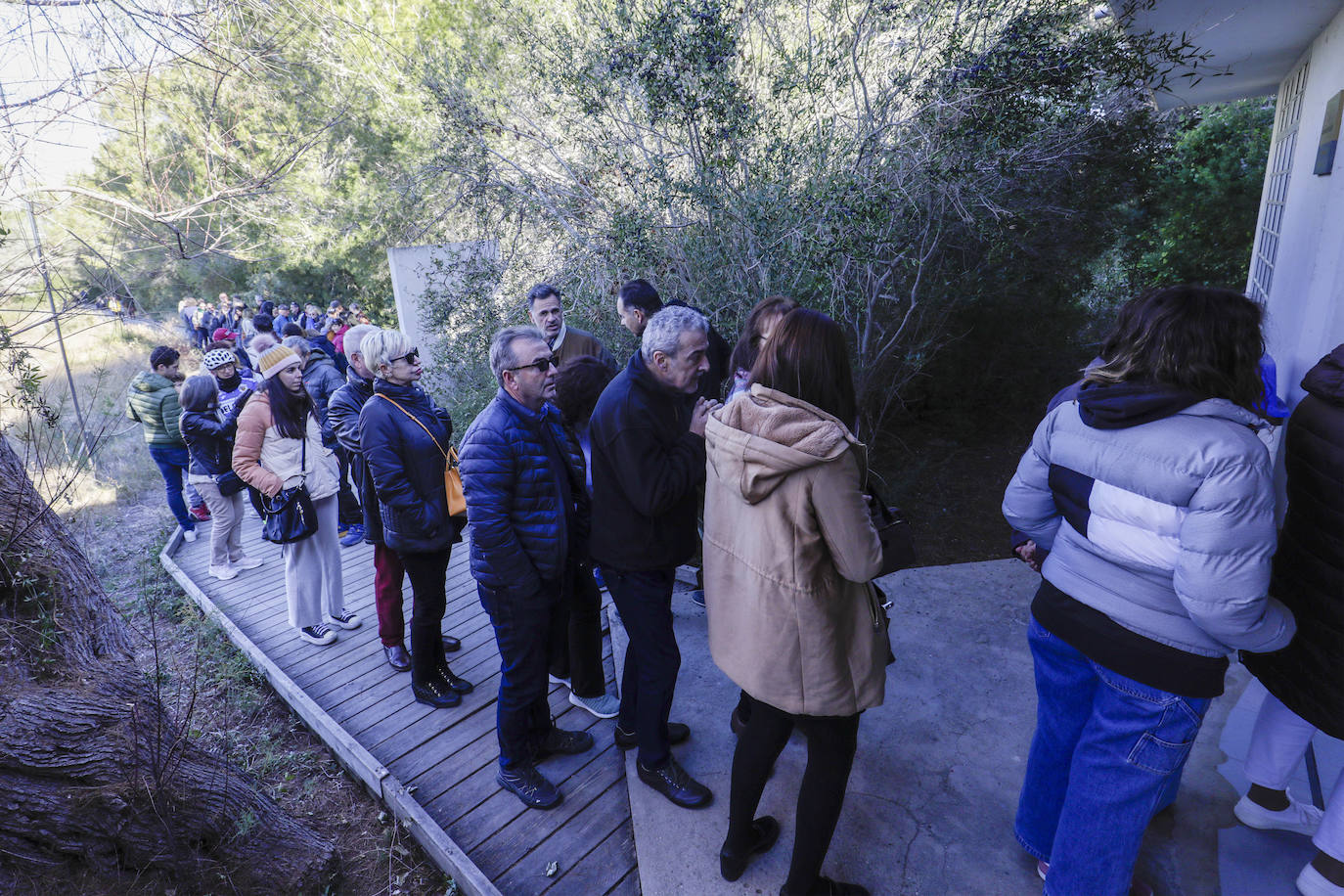 La Albufera se llena de visitantes para ver a los flamencos