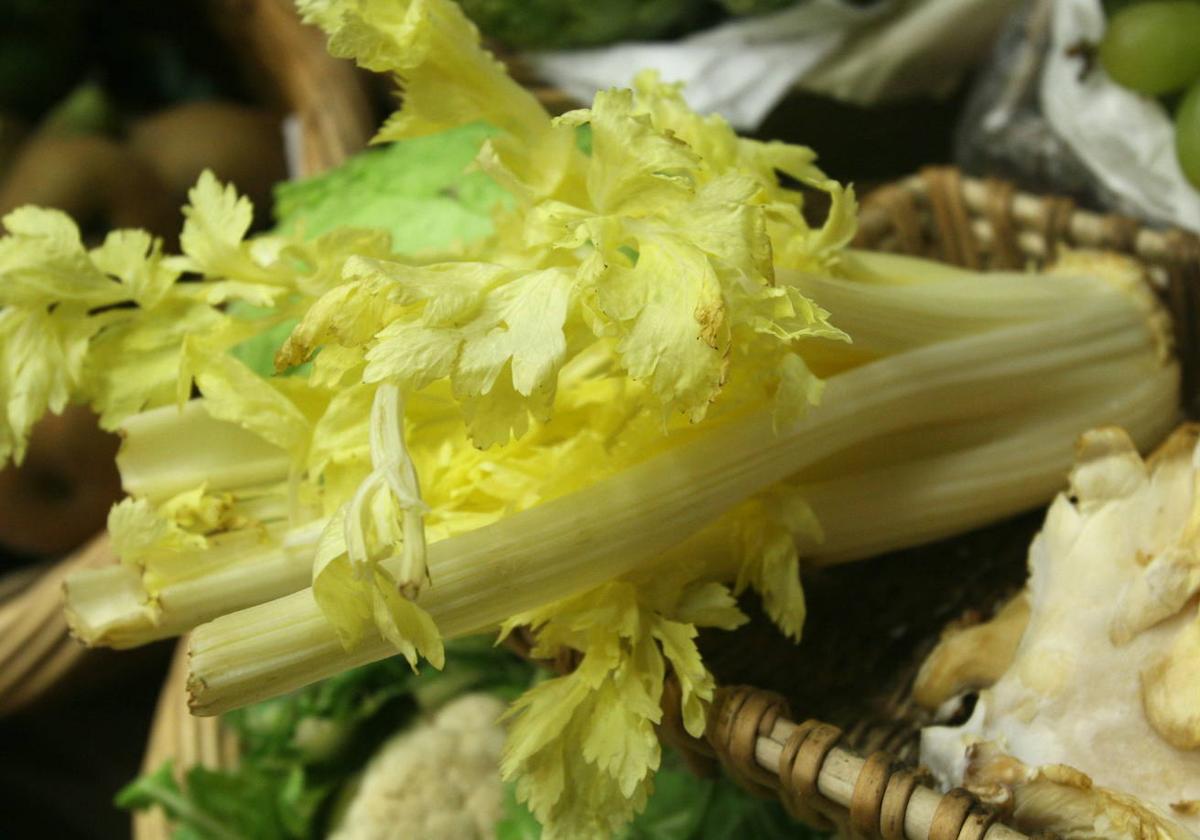 Las hortalizas no pueden faltar en la cocina para preparar recetas saludables.