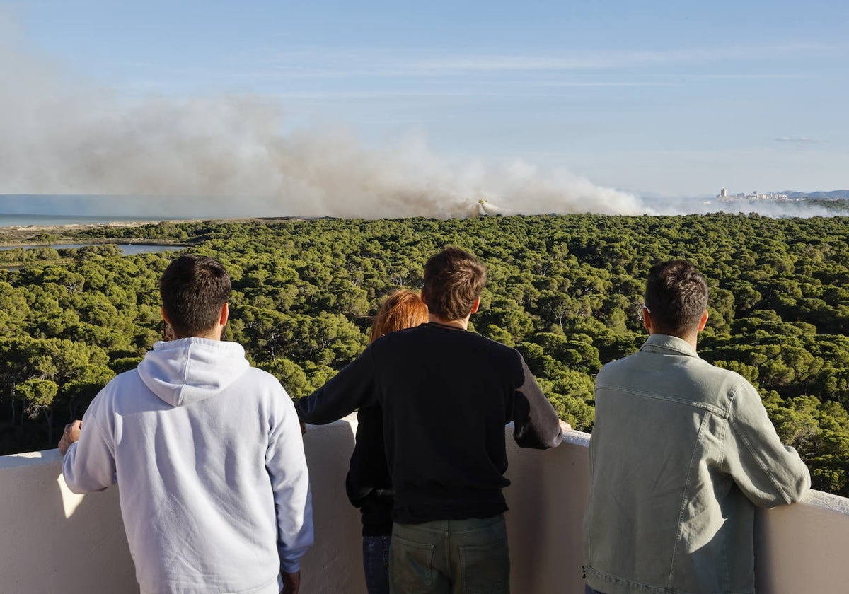 Uno de los incendios registrados este pasado verano en El Saler.