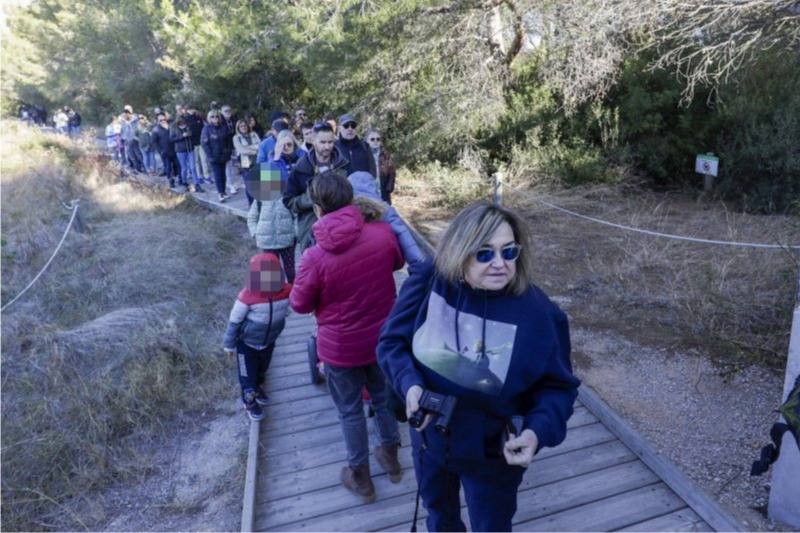 La Albufera se llena de visitantes para ver a los flamencos