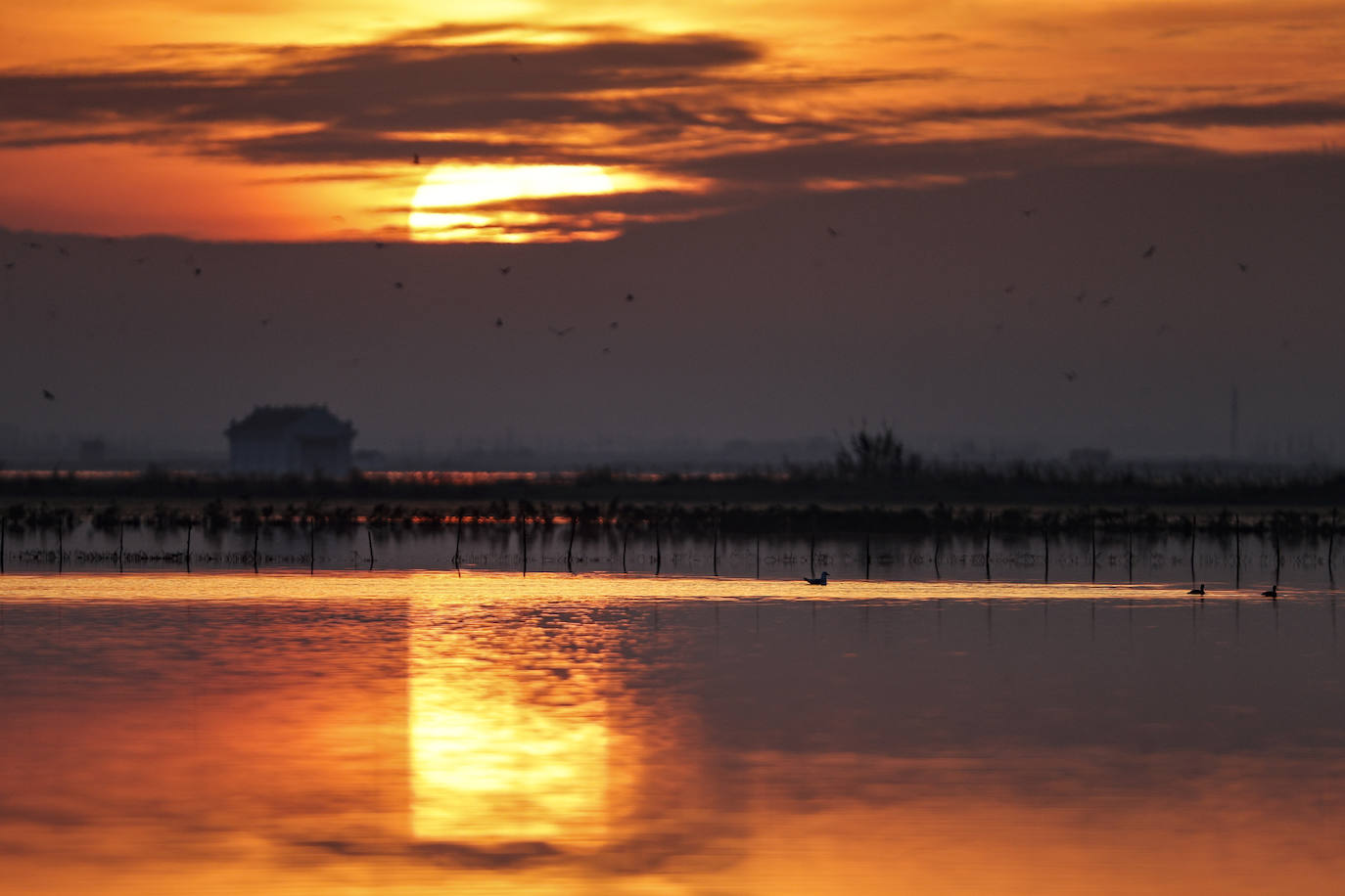 Fotos: Primer atardecer de 2023 sobre los arrozales junto a la Albufera