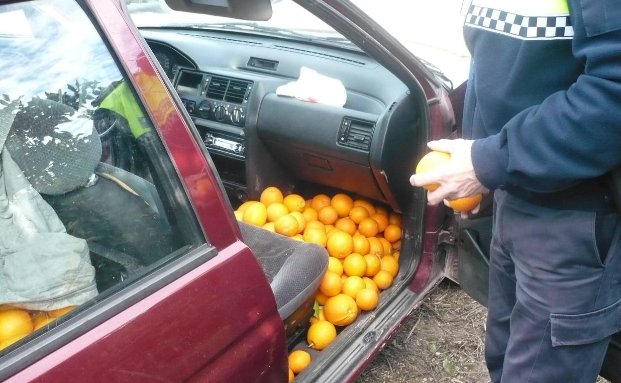 Un Policía Local intercepta un coche lleno de naranjas robadas. 