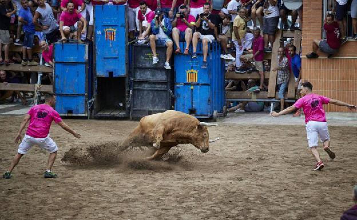 Un evento de bous al carrer. 