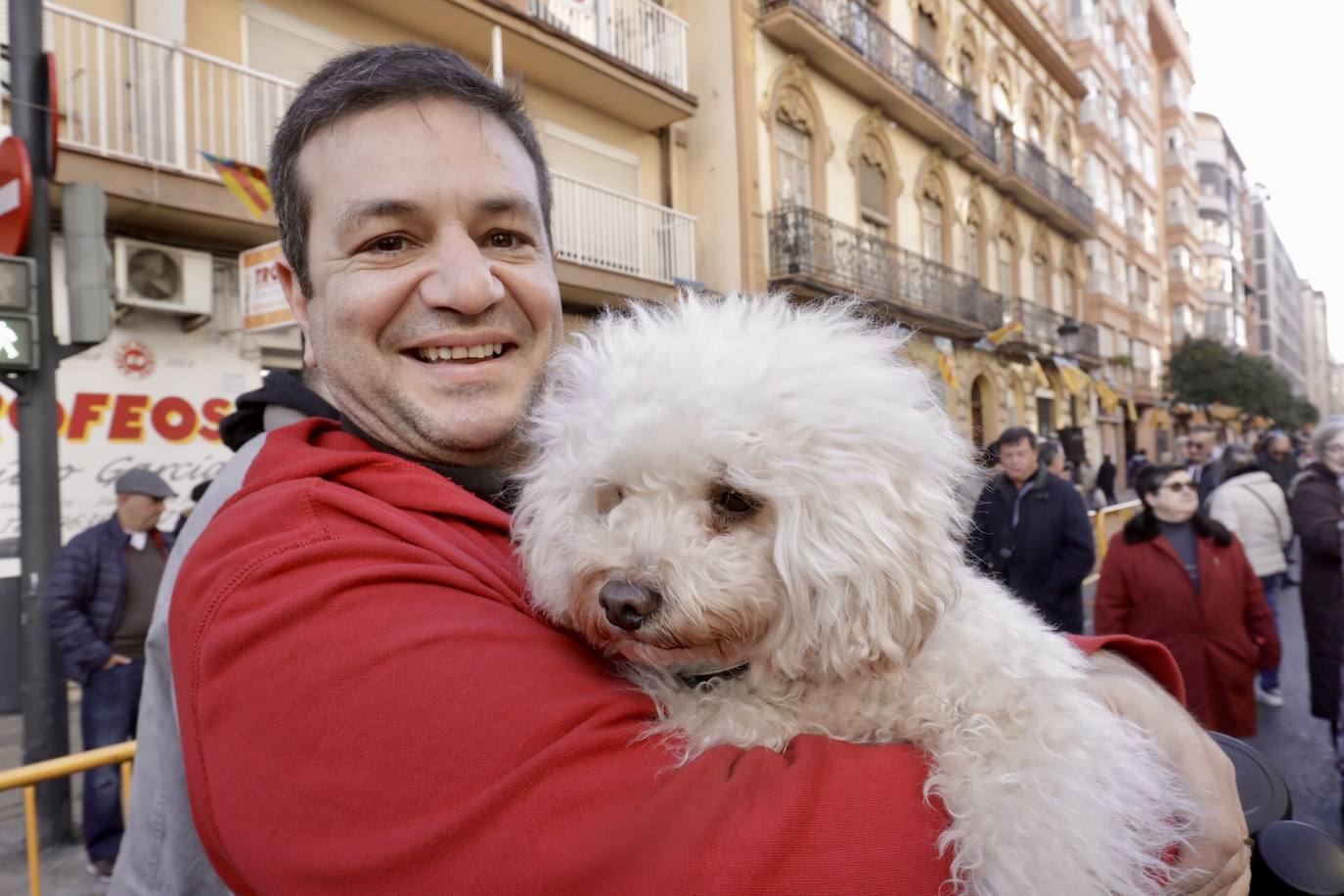 Cientos de personas se han acercado hasta la calle Sagunto en Valencia para bendecir a sus animales en honor al patrón, San Antonio Abad