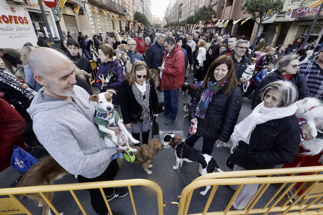 Cientos de personas se han acercado hasta la calle Sagunto en Valencia para bendecir a sus animales en honor al patrón, San Antonio Abad