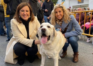 Imagen secundaria 1 - Sandra Gómez con su perro Pep; María José Catalá y Marta Torrado con el perro Arpo de la edil, Fernando Giner con con Lucas. 