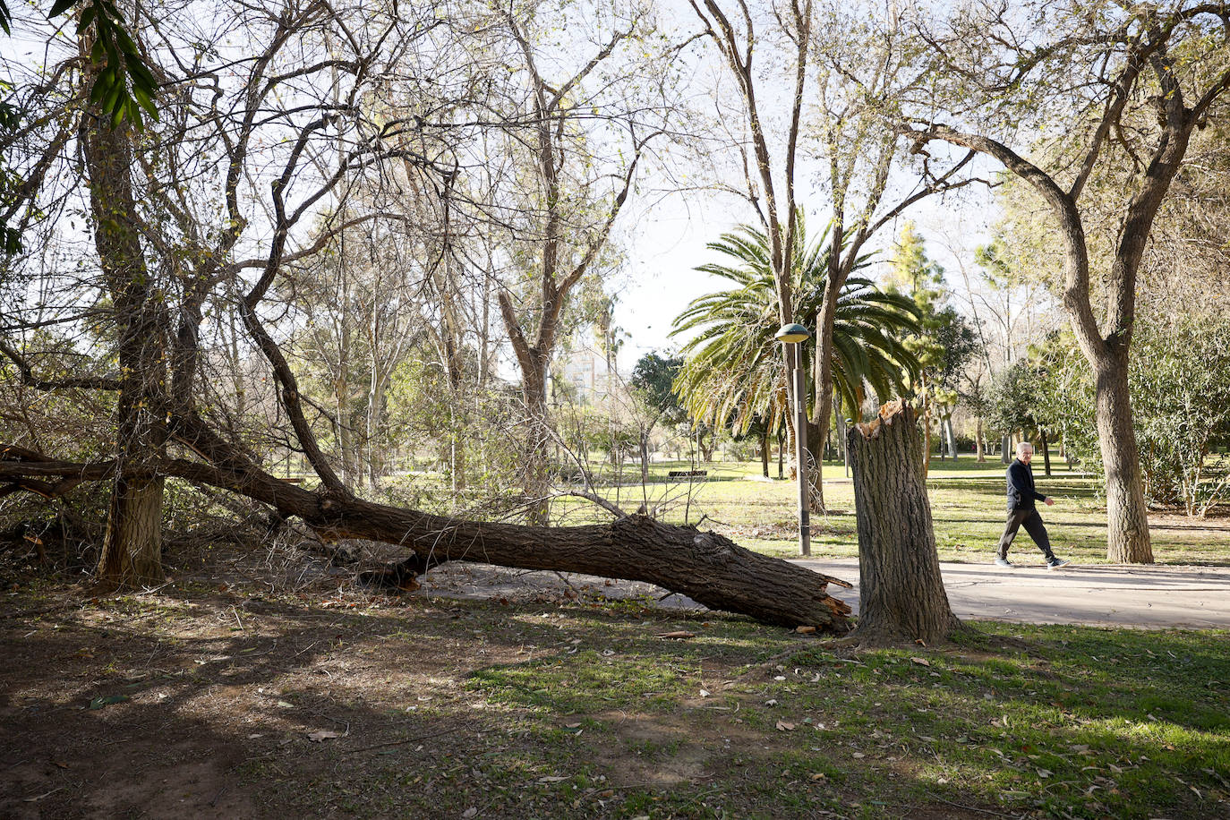 Fotos: Temporal del viento en la Comunitat valenciana