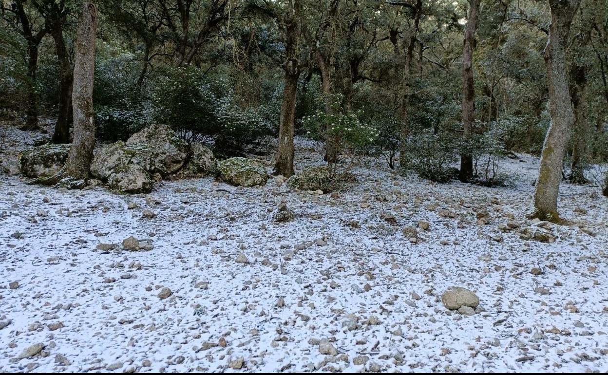 Nieve en la Font Roja.