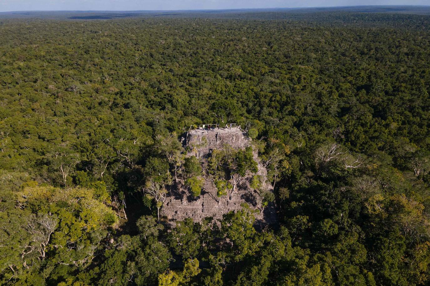 Selva de Guatemala | Tesoros milenarios que esconde la selva