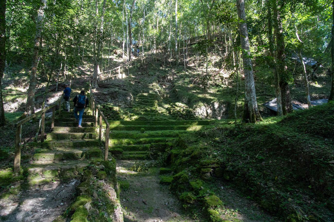 Selva de Guatemala | Tesoros milenarios que esconde la selva