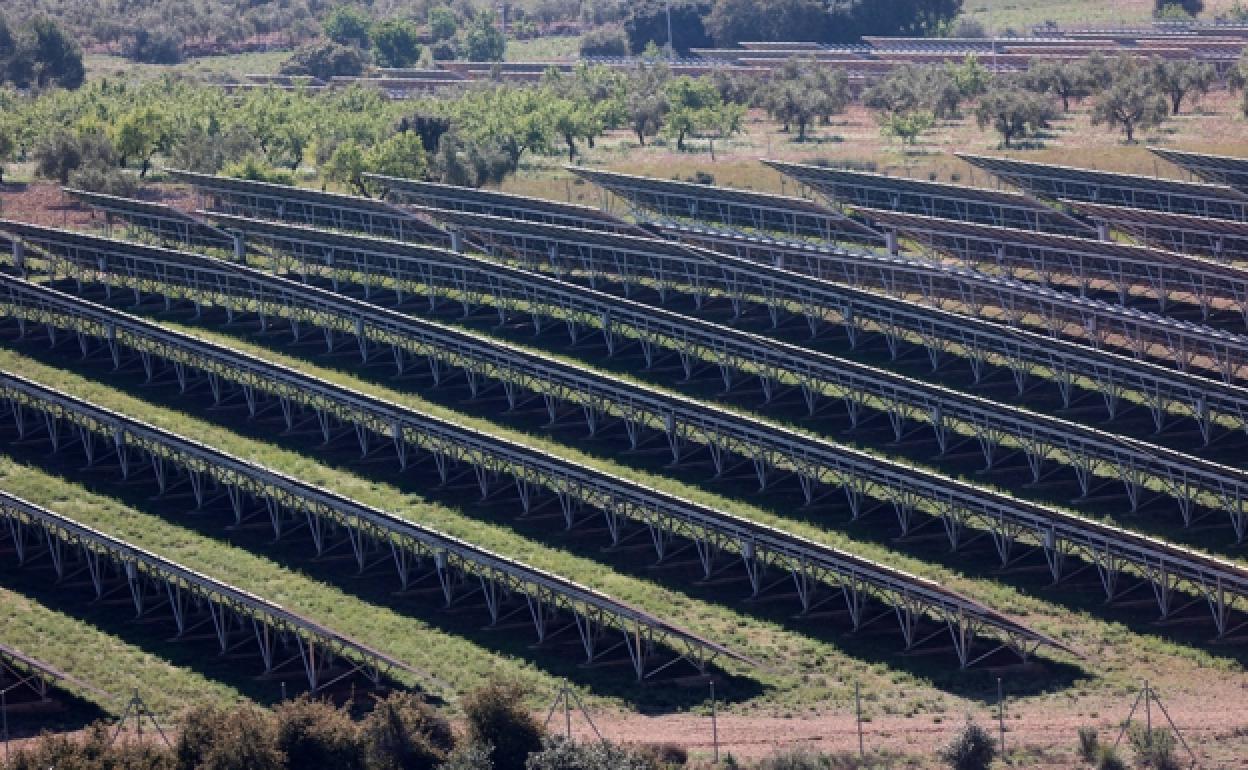 Dónde estarán las plantas solares y eólicas aprobadas por la Generalitat | Aquí se ubicarán las nuevas plantas solares y eólicas aprobadas por la Generalitat