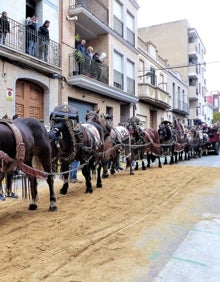 Imagen secundaria 2 - Los caballos reciben la bendición en Albal y los perros en Paterna. 