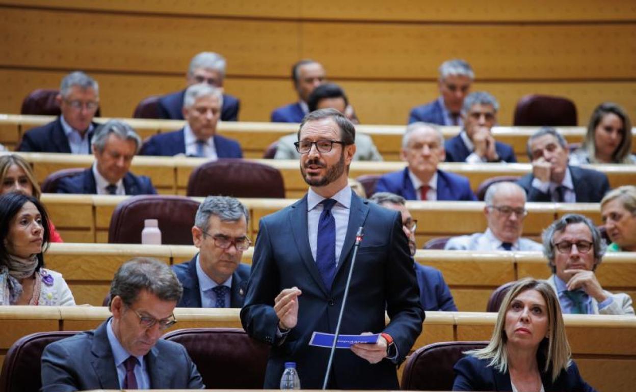 El portavoz del PP en el Senado, Javier Maroto, junto a Alberto Núñez Feijóo. 