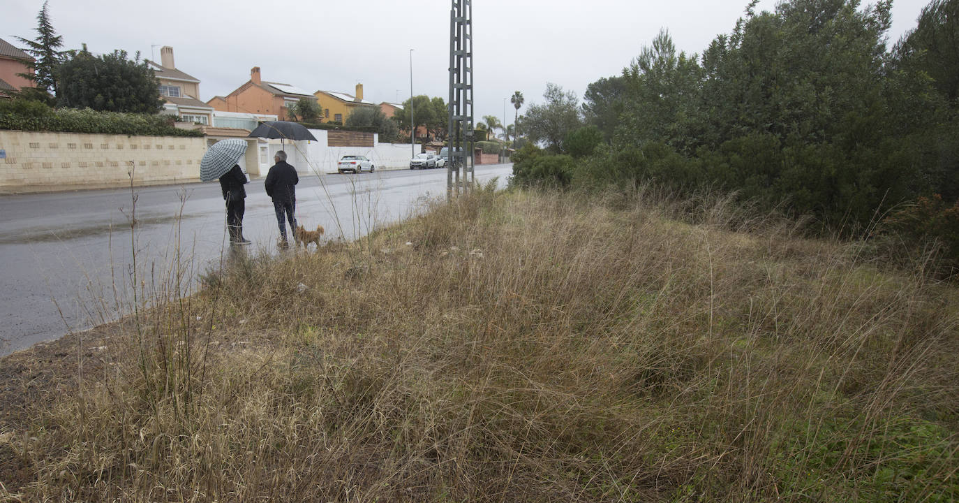 Los chalés y la zona boscosa que usan los ladrones para ocultarse. 