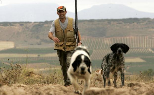 Por qué los perros de caza han sido excluidos en la Ley de Bienestar Animal