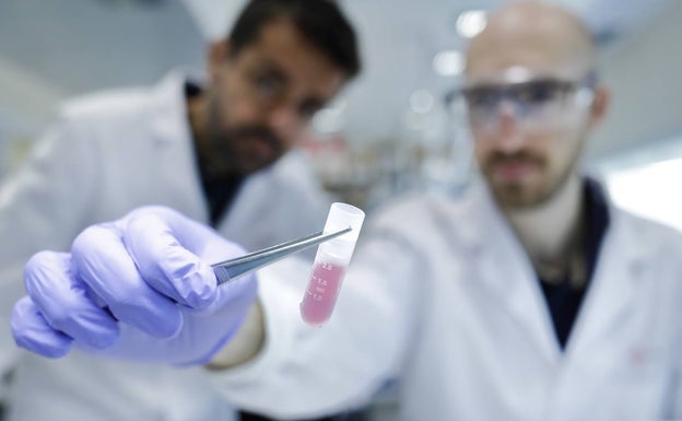 La Fundación 'la Caixa' lanza un nuevo programa de ayudas a la innovación en biomedicina y salud. 