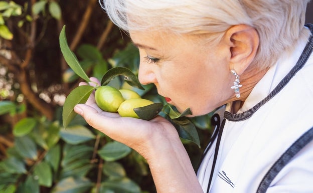 Susi Díaz sostiene un 'limequat' en los terrenos de cultivo en Elche que abastecen a La Finca.