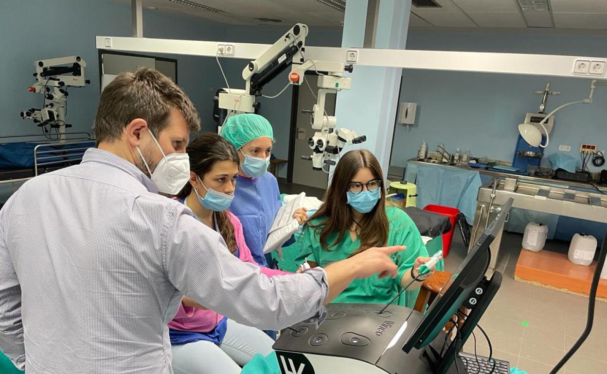 Curso práctico en el hospital de Alzira. 