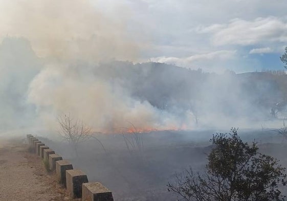 Las llamas del incendio en la Vall d'Alcalà.