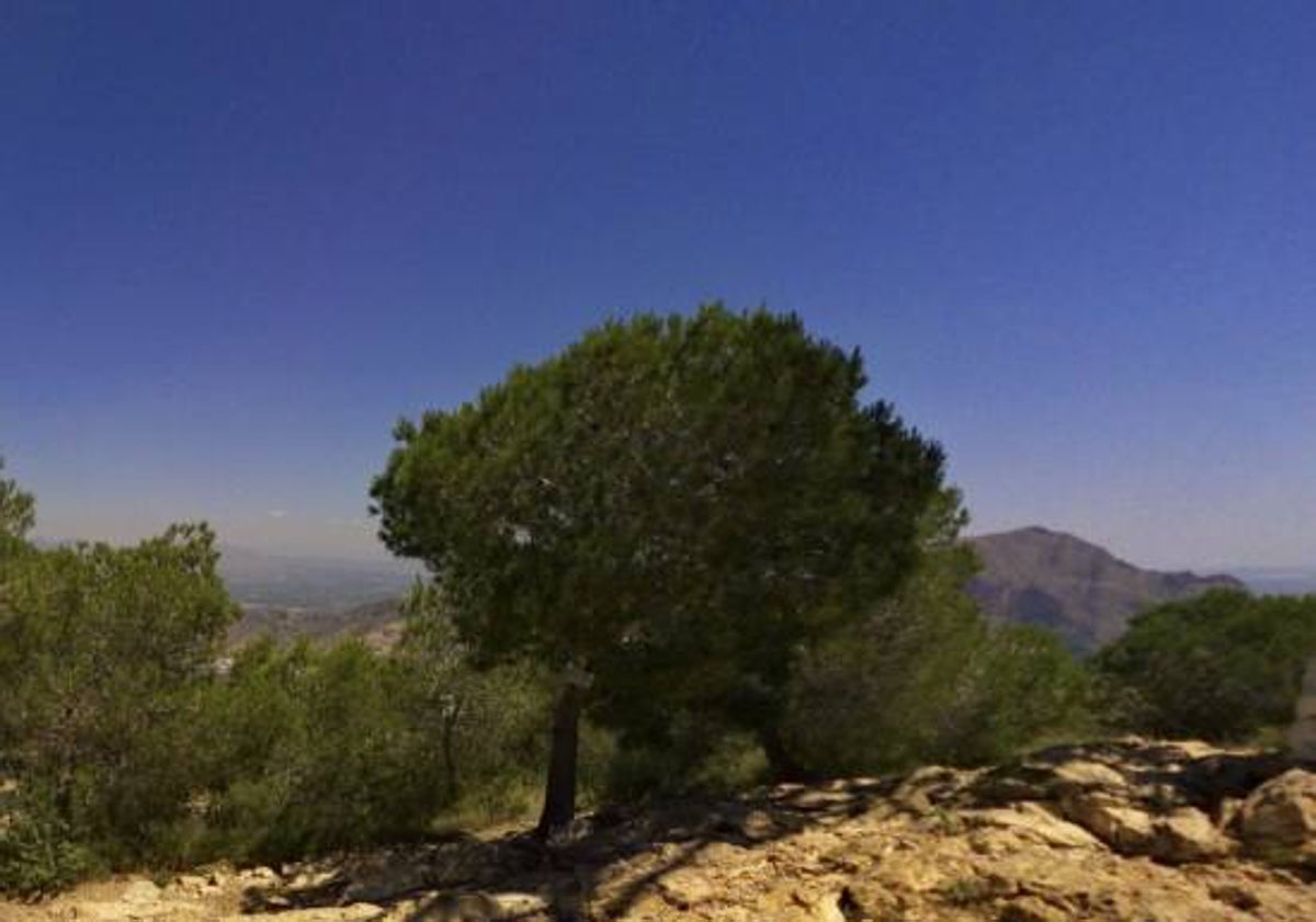 Imagen principal - Bellas imágenes desde la cima de la Cruz de la Muela.