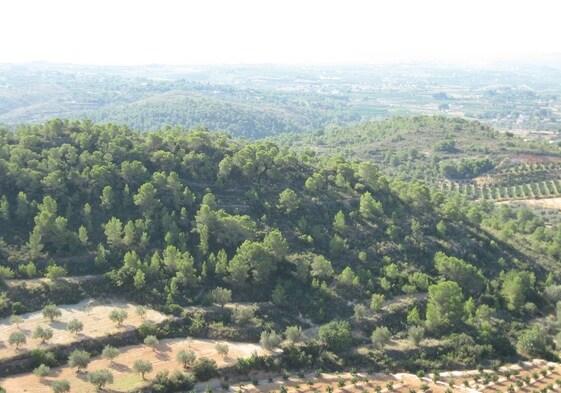 Vistas desde la ruta azul del Parque Natural del Túria.