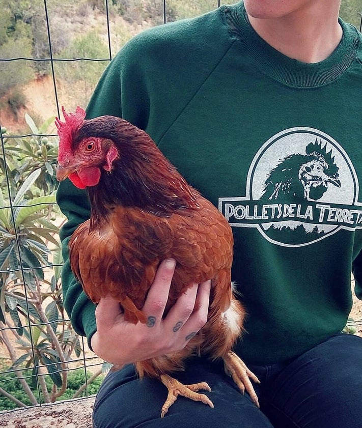 Imagen secundaria 2 - Imágenes del santuario Pollets de la Terreta.