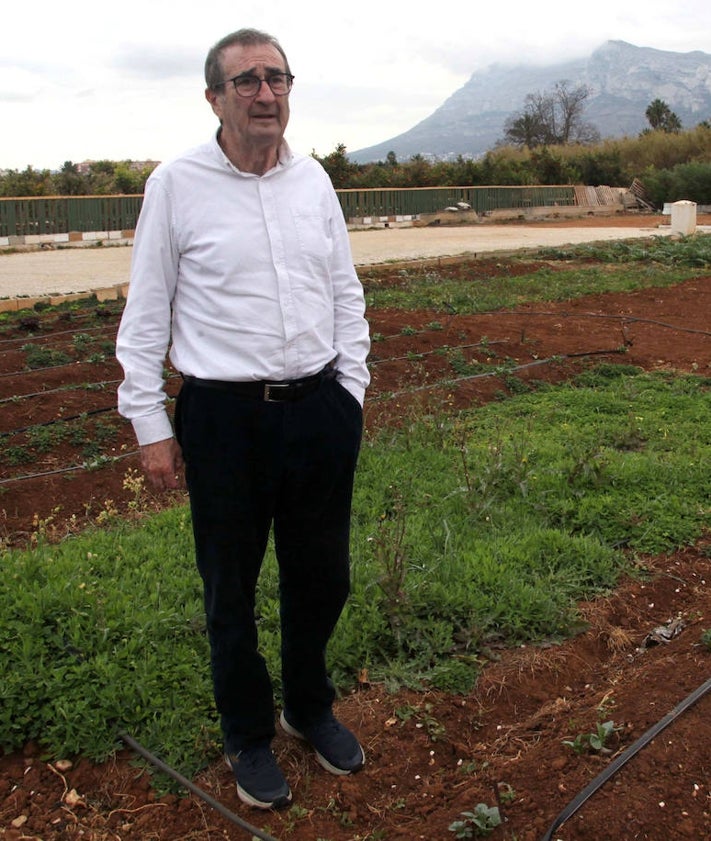 Imagen secundaria 2 - Las cocas de tomacat y anchoas, Yanire acabando de prepararlas y Pep Romany en el huerto del Pont Sec. 