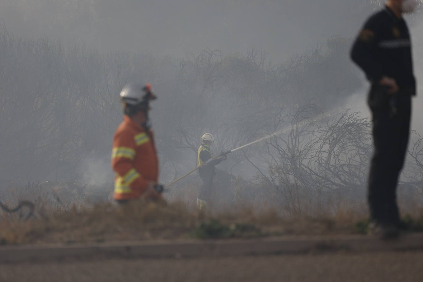 Incendio entre el Saler y Pinedo