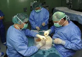 Cirujanos realizan un trasplante, en una imagen de archivo.
