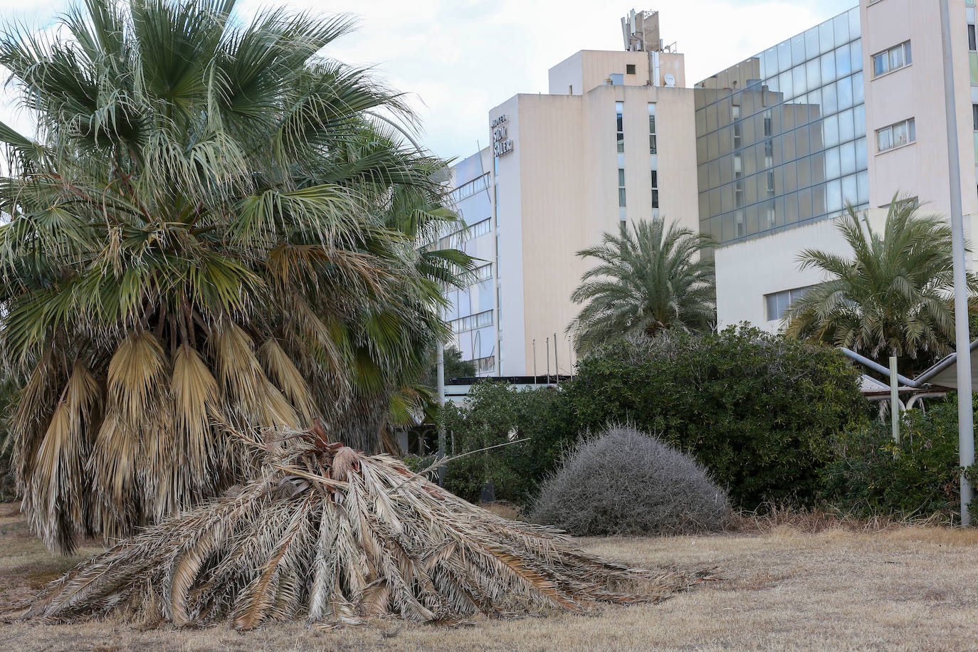 El hotel Sidi Saler, atrapado en el tiempo